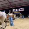 A✨ - @paulettecarrera17 - TikTok