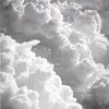 hannapaulettecarr5 - @hannapaulettecarrascova7 - TikTok