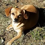 Paulette Carr - @pvcarr52 - Instagram
