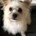 Paulette Carr - Facebook