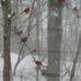 Paulette Craig - Facebook