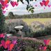Paulette Crowley - Facebook