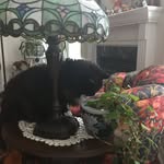Paulette Dennis - @paintpaulette - Instagram