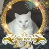 Paulette Elder182 - @pauletteelder0 - TikTok