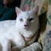 Paulette Elder - Facebook