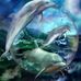 Paulette Evans - Facebook