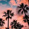 Paulette Haley - @paulette.haley - TikTok