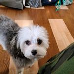 Paulette Harmon - @harmonpaulette57 - Instagram