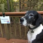 Paulette Hatcher - @pchatcher1 - Instagram
