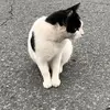 Paulette Hill - @paulette.hill5 - TikTok