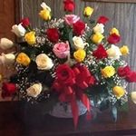 Paulette Jordan Taylor - @paulettejordantaylor - Instagram