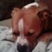 Paulette Kirkpatrick - Facebook