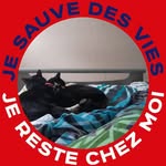 Paulette Link - @paulette.link.336 - Instagram