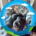 Paulette Majoros Gray - Facebook