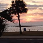 Paulette Mayfield - @paulette.mayfield.98 - Instagram