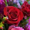 Paulette McGee712 - @paulettemcgee712 - TikTok