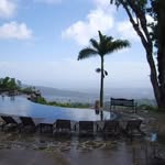 Paulette Pryce - @jamaicahomesbypaulette - Instagram
