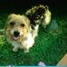 Paulette Ramsey - Facebook