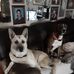 Pauletta Farmer - Facebook