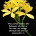 Paulette Reece - Facebook