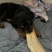 Paulette Rice - Facebook