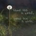 Paulette Romano - Facebook
