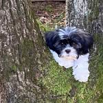 Paulette Rowe - @pauletterowe284 - Instagram