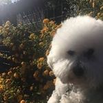 Paulette Ryan - @madison_darla - Instagram