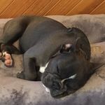 Paulette Ryan - @p_a_ryan - Instagram