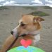 Paulette Schmidt - Facebook