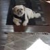 Paulette Schmidt - Facebook