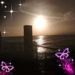 Paulette Shields - @putuss20 - Instagram