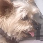 Paulette Simon Drieu - @paulettesimondrieu - Instagram