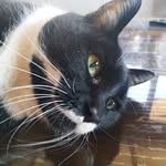 Paulette Simon-Loechner - @paulettesimonloechner - Instagram