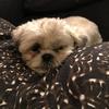 paulette_des_landes - @paulette_des_landes - TikTok