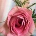 Paulette Slade - Facebook