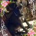 Paulette Snyder - Facebook