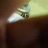 paulettesnyder1963 - @paulettesnyder1963 - TikTok