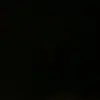 Paulette Sppalding polly - @paulette.sppaldin - TikTok