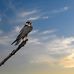 Paulette Stanton - Facebook