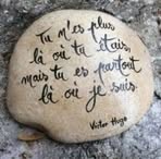Paulette Stein - Facebook