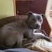 Paulette Summers - Facebook