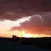Paulette Torres - @paulettetorres395 - TikTok