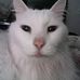 Paulette Trimble - Facebook