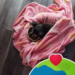 Paulette Waller - @paulettewaller36 - Instagram