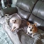 Paulette Waller - @paulette.waller.904 - Instagram