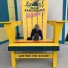paulettemwall - @paulettemwall - TikTok