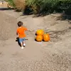 Paulette Walton - @paulette.walton - TikTok