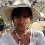 Paulette Comeau Ward - @paulettemcw - Instagram