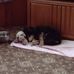 Paulette Ward - Facebook